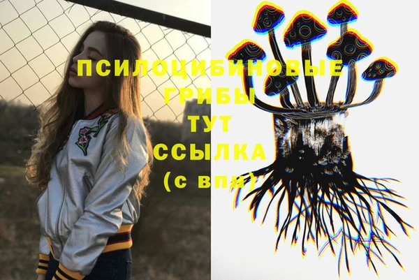 герыч Абаза