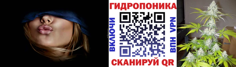 Канабис тримм  цены   Канск 