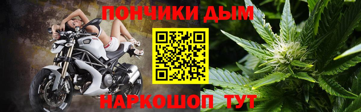 Шишки марихуана конопля Канск
